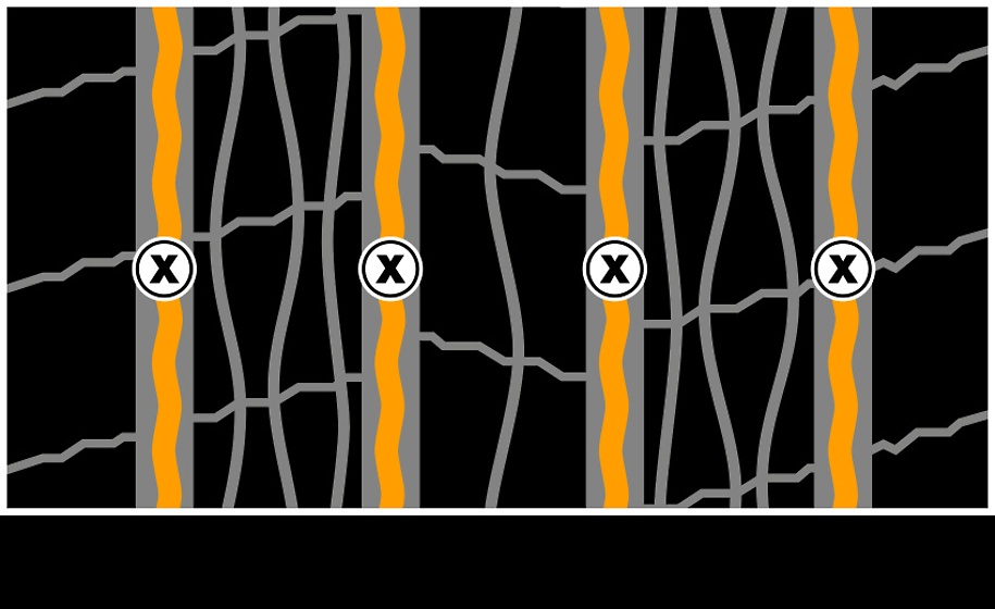 Conti-Coach-HA3ED Conti-Coach-HA3ED