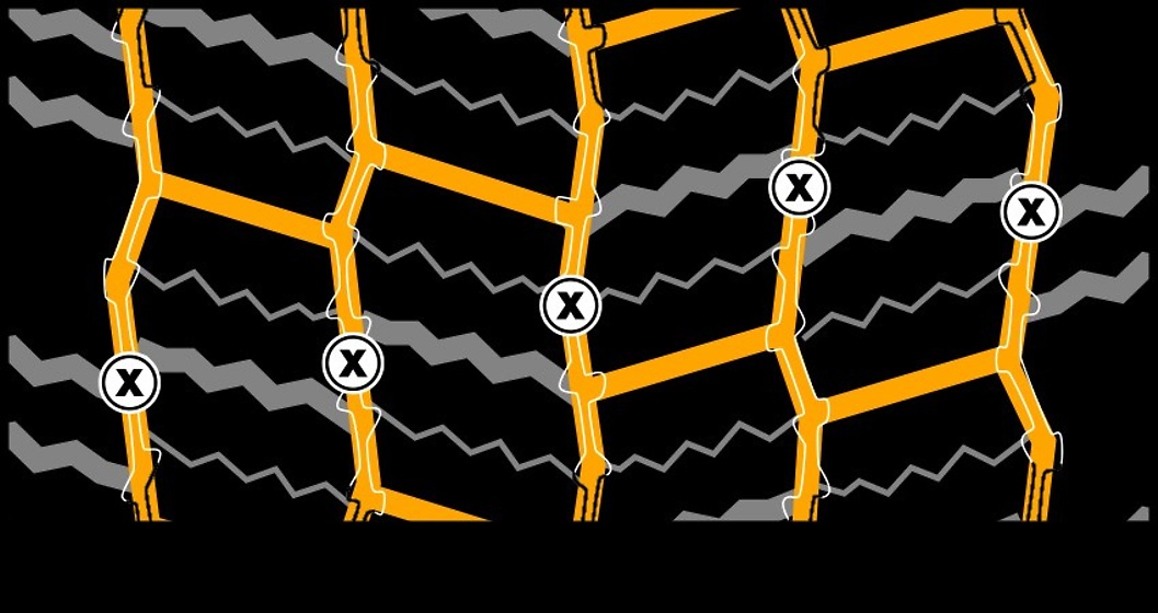 Conti-Coach-HA3ED Conti-Coach-HA3ED