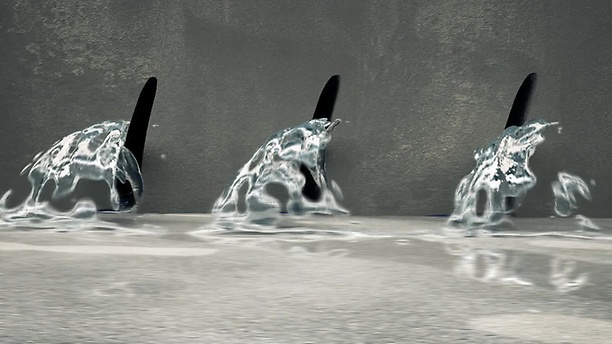 1_vancontact200_safety